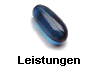 Leistungen